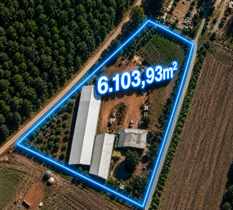 Imóveis Rurais e Urbanos - Lote 011 (ID 1825)