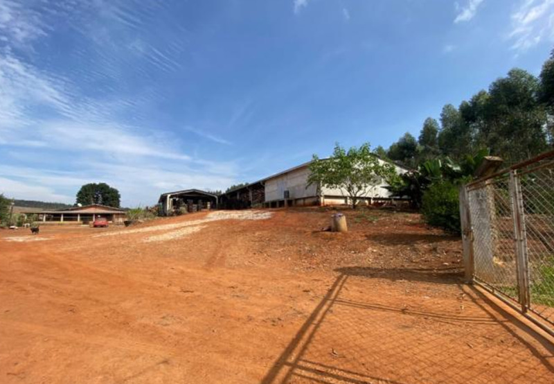 Gleba no Zona Rural (foto 2 de 9)