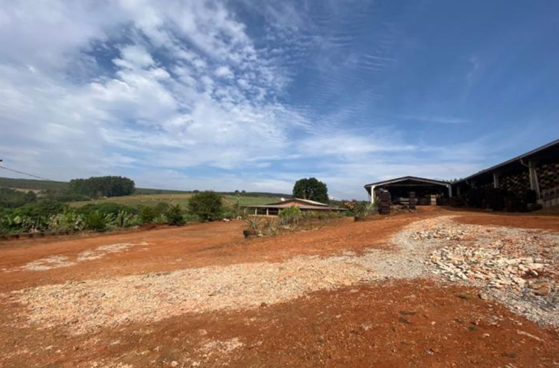 Gleba no Zona Rural (foto 4 de 9)