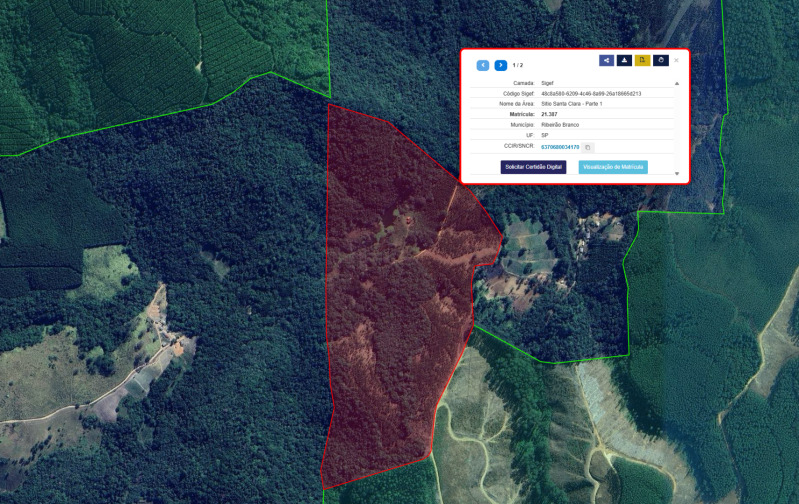 Gleba no Zona Rural (foto 3 de 21)