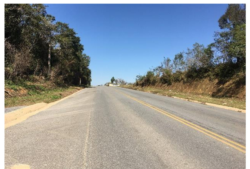 Gleba no Zona Rural (foto 7 de 21)