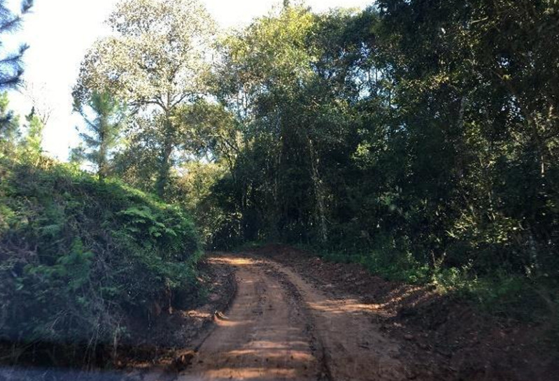 Gleba no Zona Rural (foto 9 de 21)