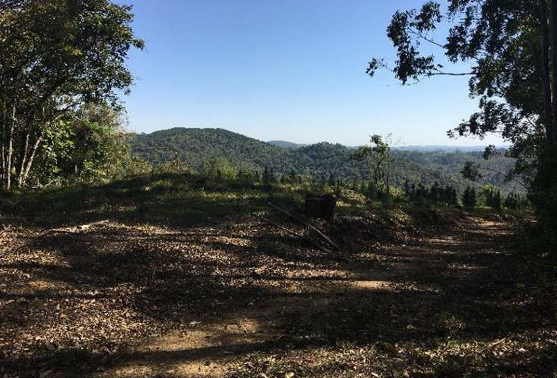 Gleba no Zona Rural (foto 10 de 21)