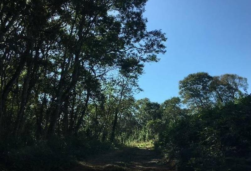 Gleba no Zona Rural (foto 12 de 21)