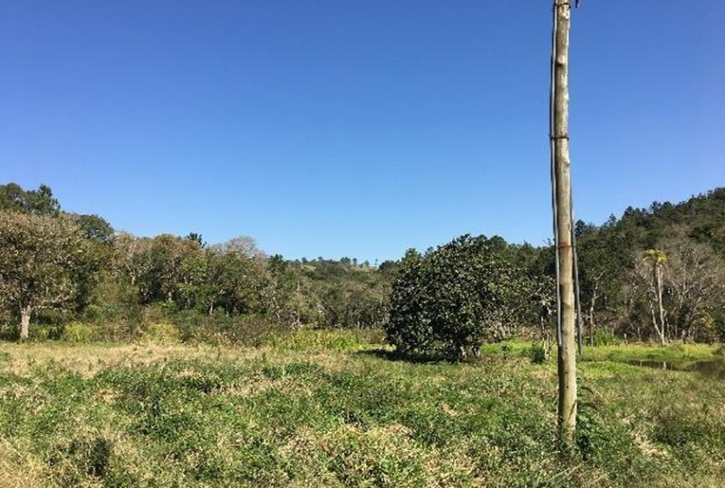 Gleba no Zona Rural (foto 13 de 21)