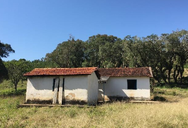Gleba no Zona Rural (foto 18 de 21)