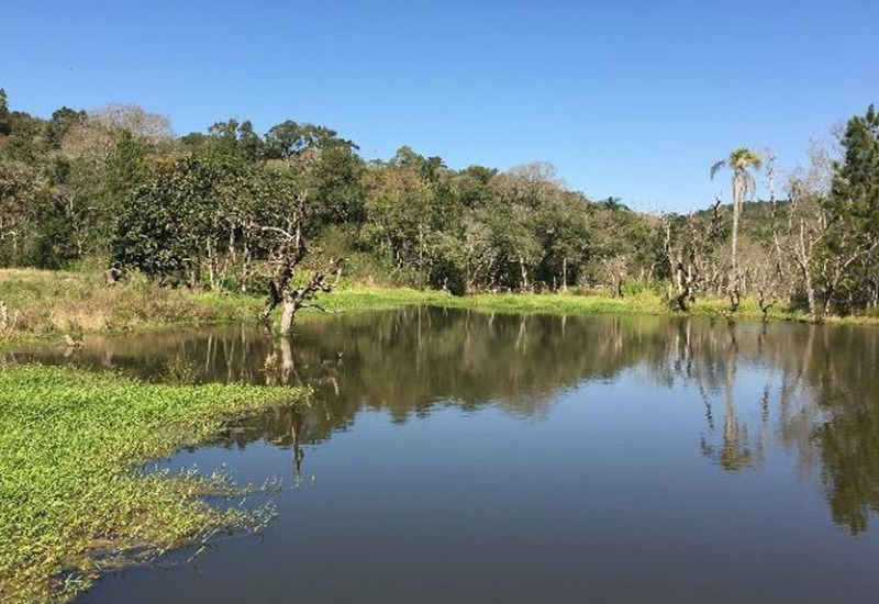 Gleba no Zona Rural (foto 19 de 21)