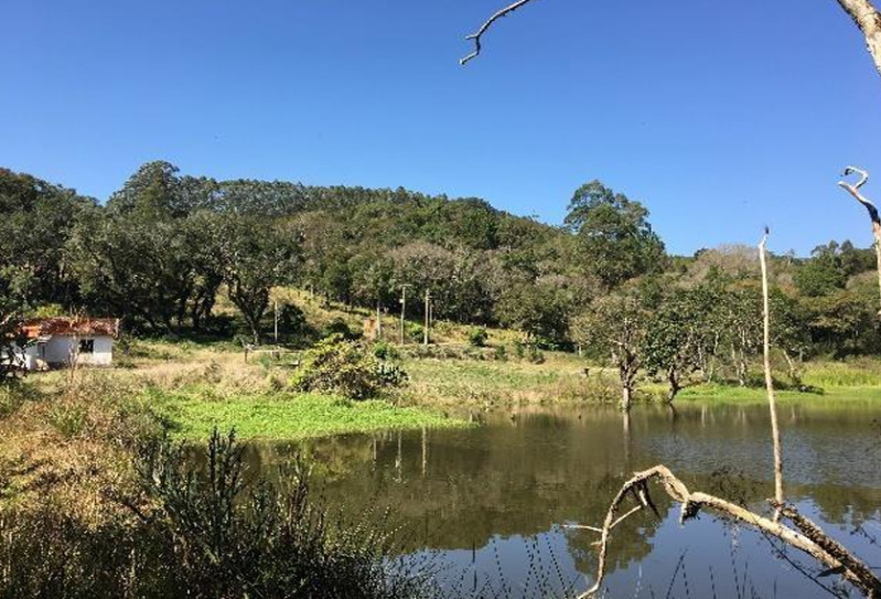 Gleba no Zona Rural (foto 20 de 21)
