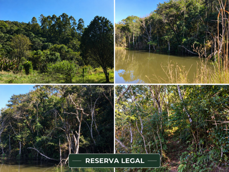 Gleba no Zona Rural (foto 21 de 21)