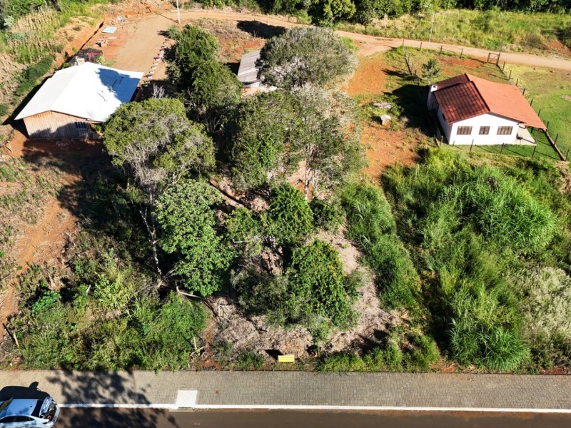 Terreno (foto 4 de 5)