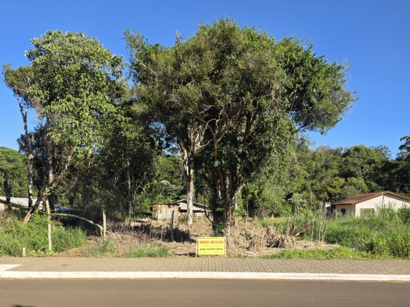 Terreno (foto 5 de 5)