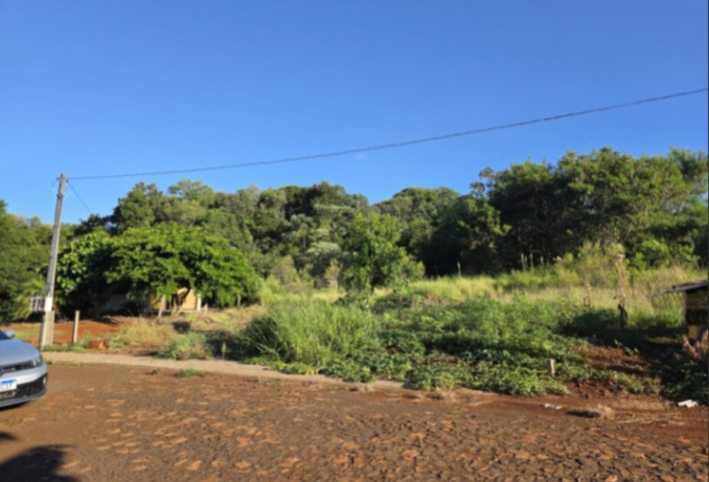 Terreno no Jardim América (foto 3 de 6)