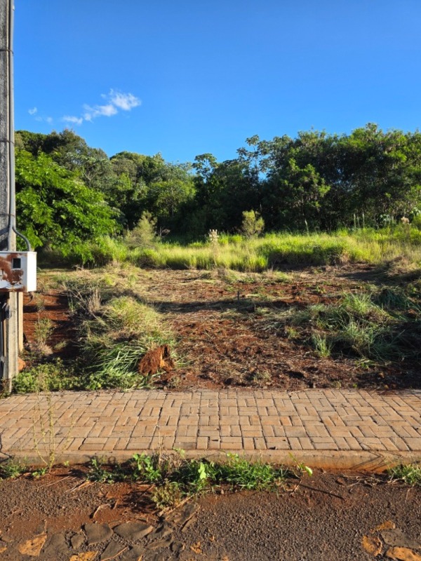 Terreno no Jardim América (foto 4 de 6)